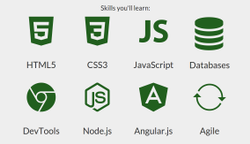 Front end web development certificate from free code camp