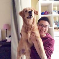 The Profile of author